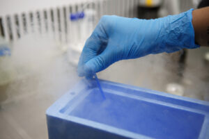 Read more about the article Cryopreservation (freezing) of sperms, eggs & embryos