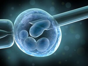 Read more about the article Preimplantation Genetic Testing (PGT)