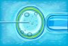 Can IVF Cause Health Problems in the Long Term?