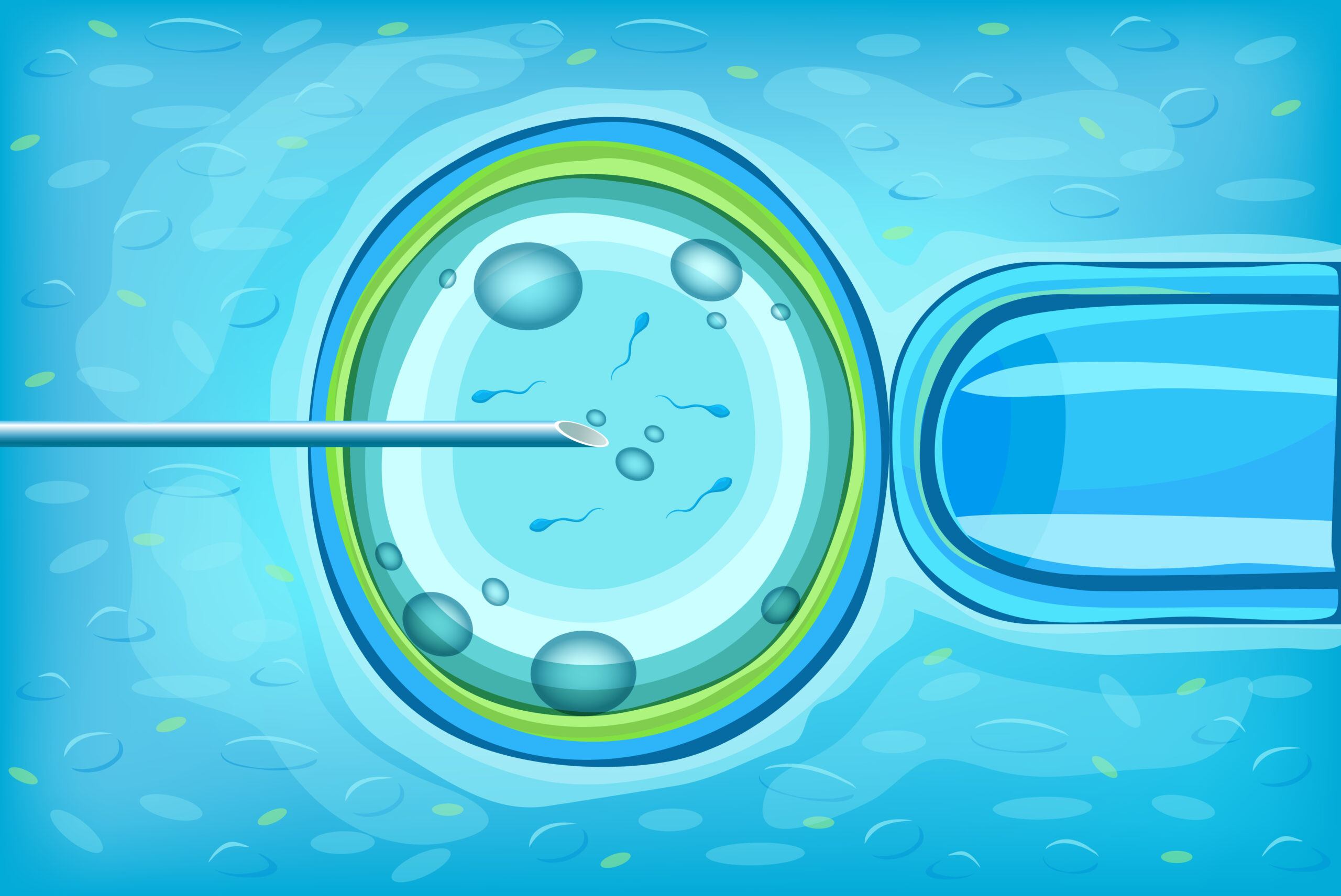 You are currently viewing In vitro fertilisation (IVF)