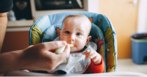 Read more about the article <strong>The Ultimate Guide to What Should be the Baby’s First Foods</strong>