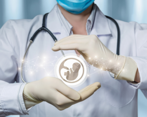 embryo transfer dos and donts